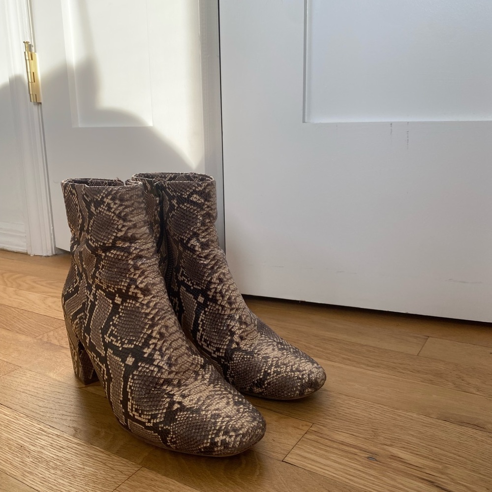 splendid snake-print mid rise booties